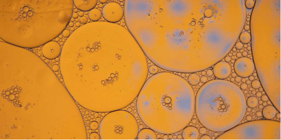 Can Vitamin E Alter Estrogen?