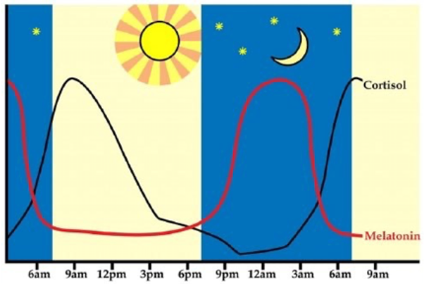 Circadian Rhythm & Sleep Health Tips