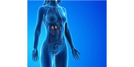 Why Does Cushing's Syndrome  Have Similar Symptoms as Menopause?