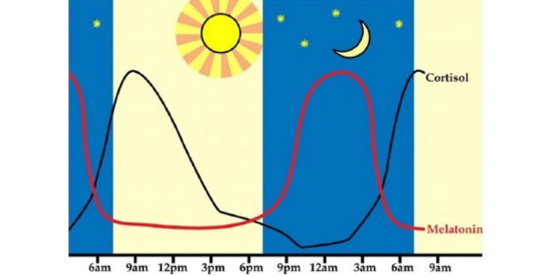 Circadian Rhythm & Sleep Health Tips