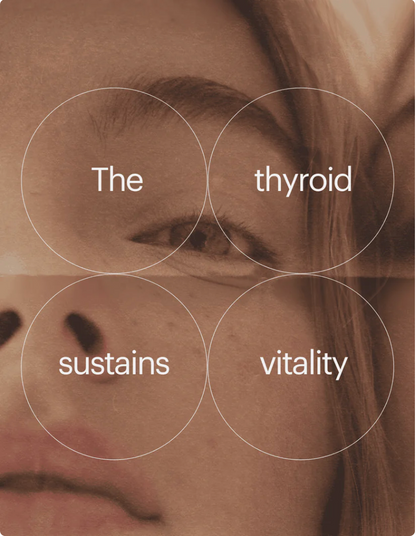 NP Thyroid® Tablets