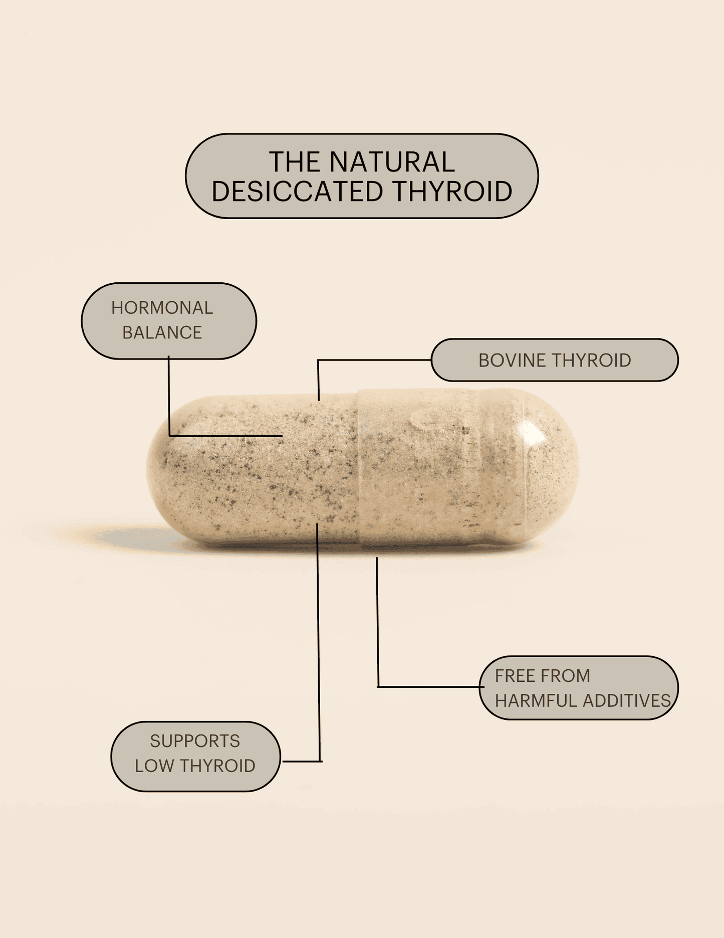 The Natural Desiccated Thyroid 65mg